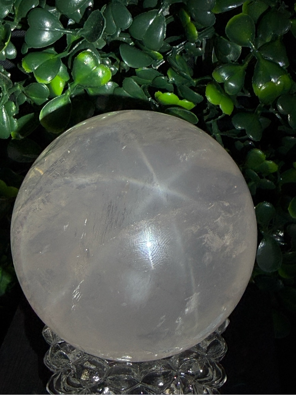 Stunning Star Girasol Rose Quartz Sphere 58mm